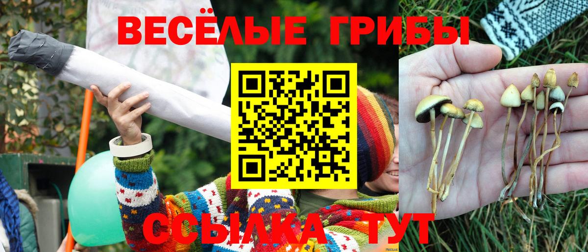 Галлюциногенные грибы MAGIC MUSHROOMS Выкса