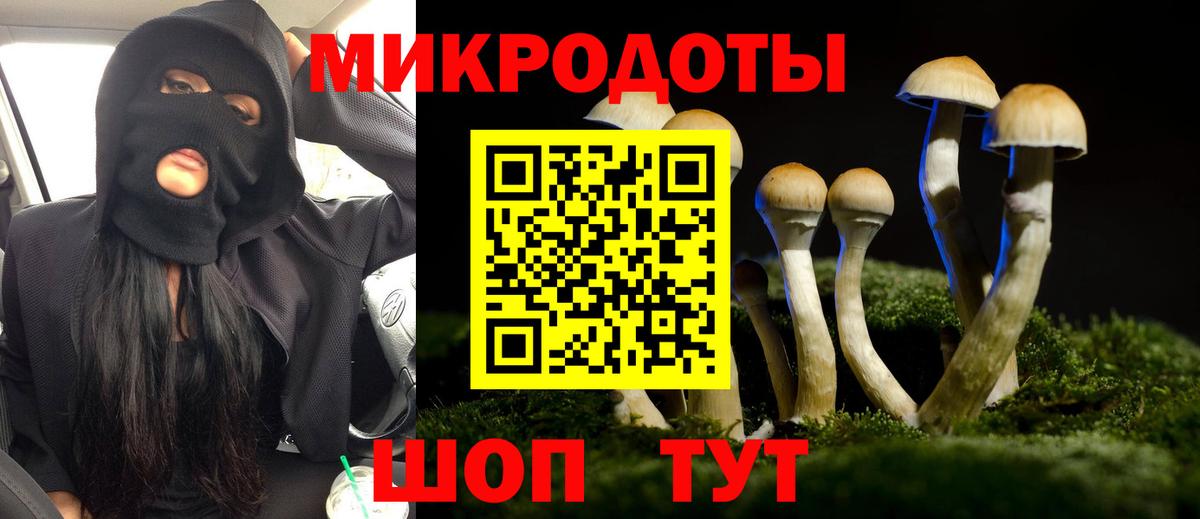 Псилоцибиновые грибы MAGIC MUSHROOMS  Вход с VPN  цена   Выкса  Галлюциногенные грибы GOLDEN TEACHER 